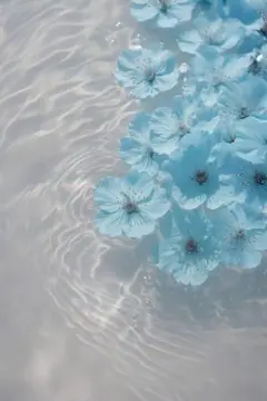 hirohiro様 リクエスト 3点 まとめ商品