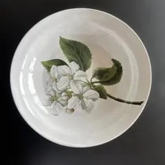 アスティエ ASTIER de VILLATTEのサムネイル