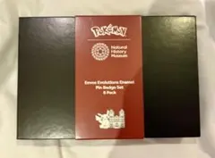 ポケモン ロンドン自然史博物館 コラボ ピンバッジセット イーブイ
