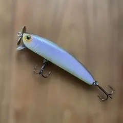 Item thumbnail for item deec8ee1-d52a-40c3-9867-21813e795cd5