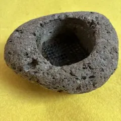 苔　鉢のサムネイル