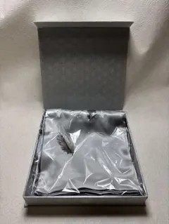 Item thumbnail for item aafbbfda-3f8f-48cf-885d-57984035c2b6