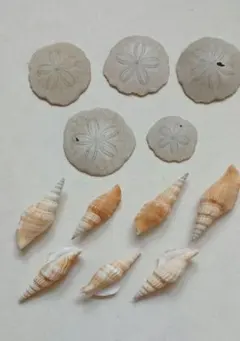 Item thumbnail for item eba75d8a-6ee1-44c1-9fdb-25bef52ce607