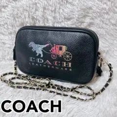 ✨未使用✨COACH×Disney 白雪姫 ショルダーバッグ スプーキーアイズ 