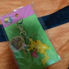 ポケモンセンター20周年記念 キーホルダー - メルカリ