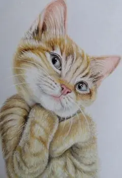 Item thumbnail for item 71276b63-023e-4871-8535-746ea1ada9be