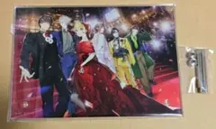 BUSTAFELLOWS バスタフェ スペシャルシート アクリルパネル