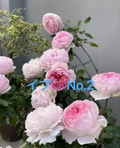 Riramon様 リクエスト 2点 まとめ商品