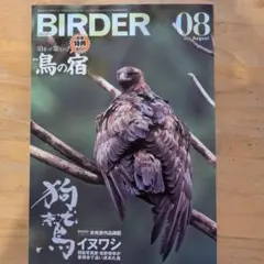 BIRDER 2026年8月号 特集 泊まって楽しい！鳥の宿