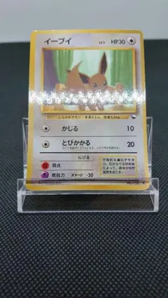ポケモンカード 旧裏 拡張シート イーブイ