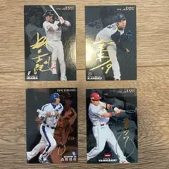 【激レア美品】プロ野球チップスカード レア バラ売り可 激レア】レジェンド プロ野球チップスカード 8枚セット - メルカリ