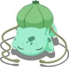 みみみ♡✨プロフ必読様　専用