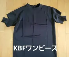 Item thumbnail for item 1067e631-7028-464b-867c-f2fded5bf2b1