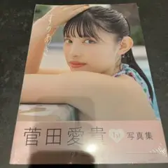 菅田愛貴 タレント写真集