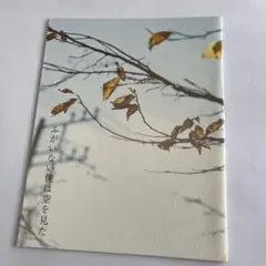 Item thumbnail for item 81c9016a-2b39-45d2-bf0b-7af024578fa2