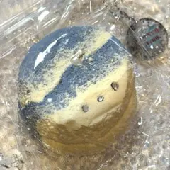 NUONUO studio スタジオ　スクイーズ　ラウンド　海トースト　水色