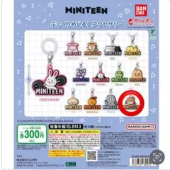 MINITEEN めじるし ディノ SEVENTEEN