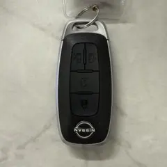 Item thumbnail for item 326e86cd-bdb5-4abb-9e0c-1b139517a0b1