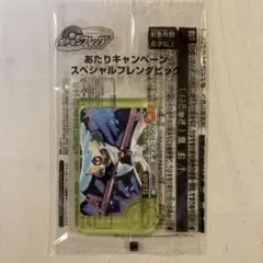 ポケモンフレンダ　あたりキャンペーン　スペシャルピック　テツノブジン