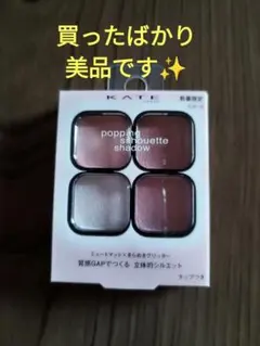 【★美品★】ケイト　ポッピングシルエットシャドウ　EX-5