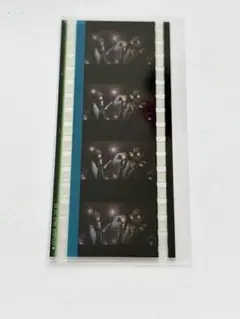 ヒプムビ コマフィルム エンディング 幻太郎 一二三 十四