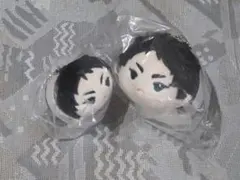 ハイキュー〇赤葦京治