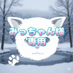 みっちゃん様専用ですꕤ*.゜