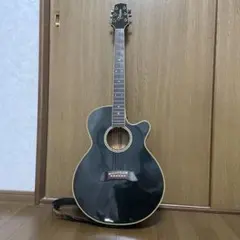 2026年最新】takamine npt-110の人気アイテム - メルカリ