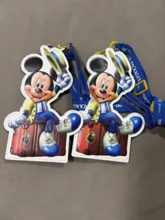 ディズニーバケーションパッケージパスケース セット　非売品