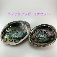 NO.58-53 クジャクアワビ(貝殻) 2ケセット お徳用