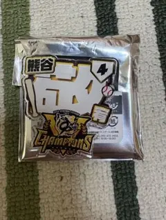 阪神タイガース　シークレットアクリルネームキーホルダー　熊谷