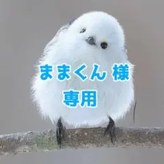 【XLサイズ・ブラック】ペチパンツ ペチコートレース 透けない インナー