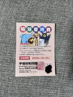 2026年最新】宇都宮動物園 チケットの人気アイテム - メルカリ