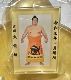大相撲　大栄翔　優勝額風アクリルバッジ　クレーンゲーム限定
