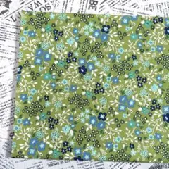 USAコットンシーチング生地 WINDHAM FABRICS 2m