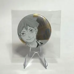 ハイキュー デコレクション缶バッジ 日向