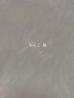 わんこ様 ネイルチップ