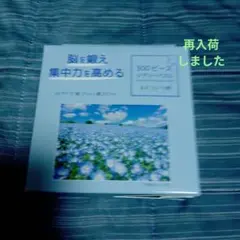 大人用ジグソーパズル 300ピース ネモフィラ柄 A4サイズ