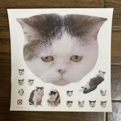 BRUTUS #658 猫 ステッカー