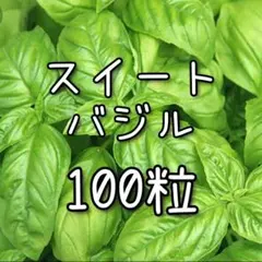 MinaMi様 リクエスト 2点 まとめ商品