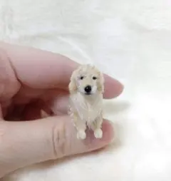 モールアート ぬいぐるみ