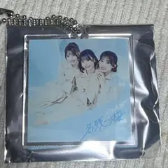 AKB48 名残り桜　アクリルキーホルダー