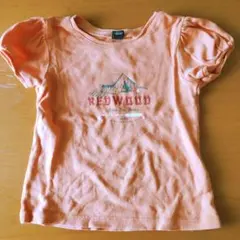 baby GAP ベビーギャップ フレンチスリーブTシャツ 2years