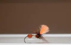 Item thumbnail for item 685a91e6-8bbe-4ed2-a3f2-9cf8aa908306