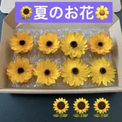 ①ヘリクリサムドライフラワー ひまわり風 花材 リース ハーバリウム