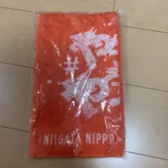 【新品、未開封】　限定品　アルビレックス新潟　オレンジタオル