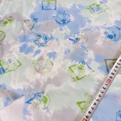 １枚限定 ミニ裏毛ニット 生地