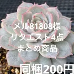 メル81808様 リクエスト 2点 まとめ商品