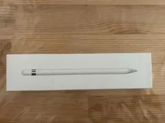 Apple Pencil (第1世代)