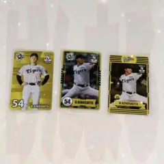 阪神タイガース 2025 オンサイトカード